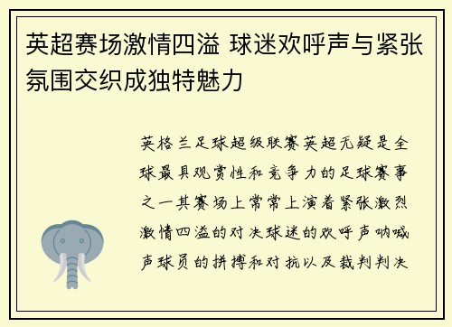 英超赛场激情四溢 球迷欢呼声与紧张氛围交织成独特魅力